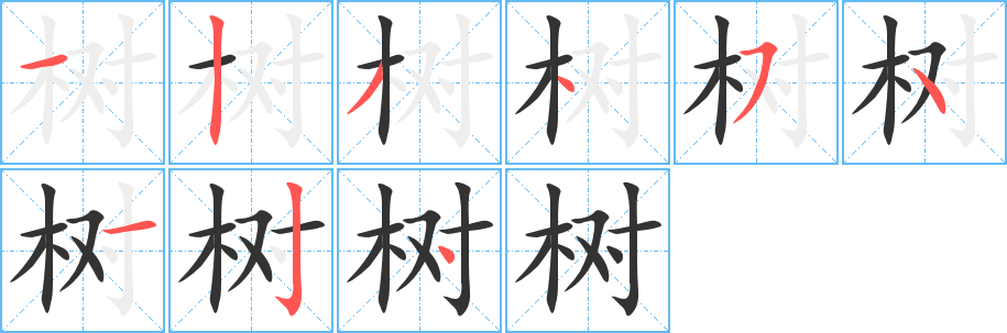 树字笔画写法