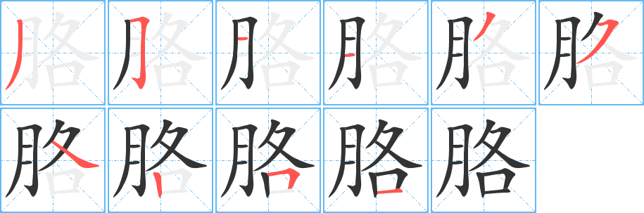 胳字笔画写法