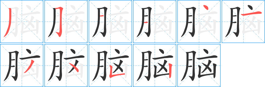 脑字笔画写法