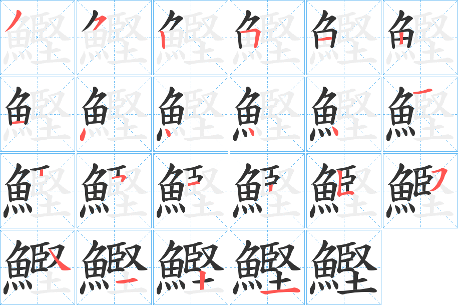 鰹字笔画写法