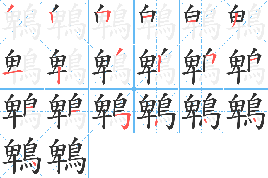 鵯字笔画写法